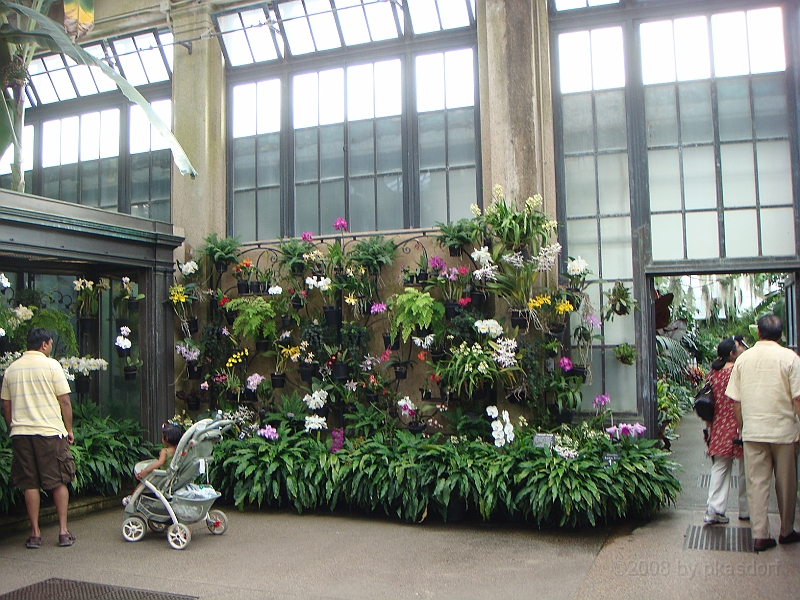 298 Longwood Gardens [2008 August 23].JPG - Longwood Gardens in Pennsylvania